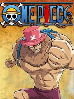 One Piece Saison 11 en streaming français
